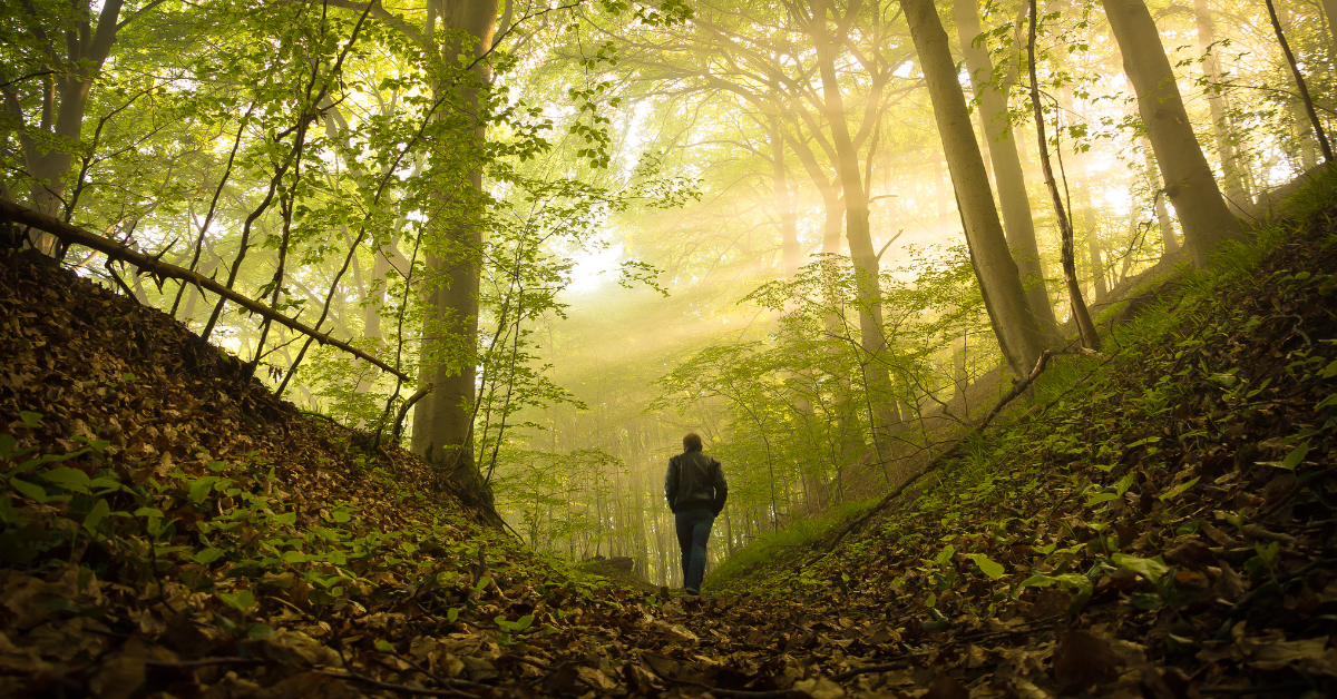 Stop giving a fuck. Walk your own way—into your own truth.